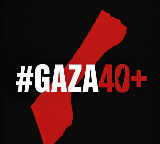 Gaza40+ Initiative: Glimmer of Hope for Gaza Students Amid War Rubble